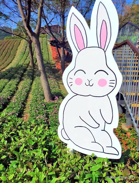 「北投社三層崎花海公園」(Ki-Pataw Shan-Tseng-Chi Park)與北投公園，SJKen , Taipei, Taiwan, Jan 23, 2023.