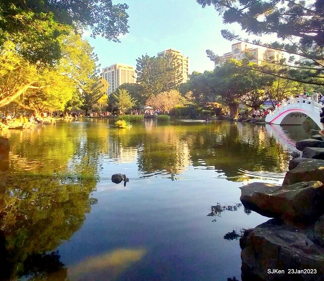 2023正月初一「中正紀念堂」走春賞梅 (Plum blossoms at CKS Memorial Hall), Taipei, Taiwan, SJKen, Jan 23, 2023