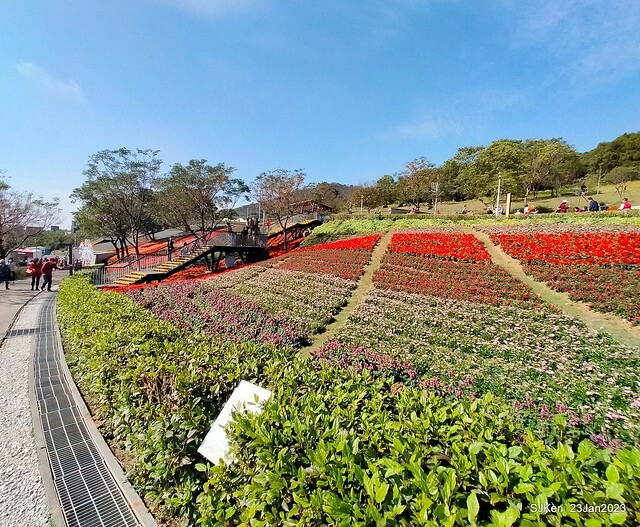 「北投社三層崎花海公園」(Ki-Pataw Shan-Tseng-Chi Park)與北投公園，SJKen , Taipei, Taiwan, Jan 23, 2023.