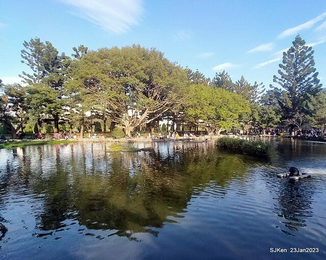 2023正月初一「中正紀念堂」走春賞梅 (Plum blossoms at CKS Memorial Hall), Taipei, Taiwan, SJKen, Jan 23, 2023