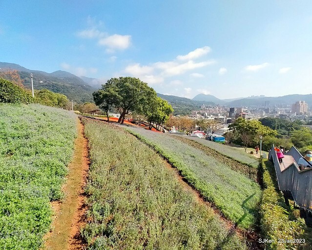 「北投社三層崎花海公園」(Ki-Pataw Shan-Tseng-Chi Park)與北投公園，SJKen , Taipei, Taiwan, Jan 23, 2023.