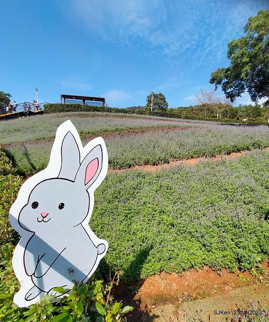 「北投社三層崎花海公園」(Ki-Pataw Shan-Tseng-Chi Park)與北投公園，SJKen , Taipei, Taiwan, Jan 23, 2023.