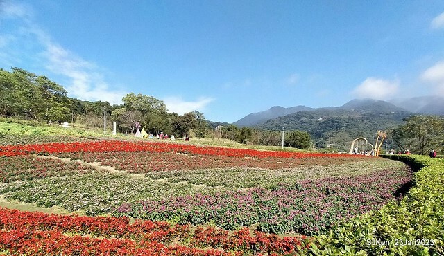 「北投社三層崎花海公園」(Ki-Pataw Shan-Tseng-Chi Park)與北投公園，SJKen , Taipei, Taiwan, Jan 23, 2023.