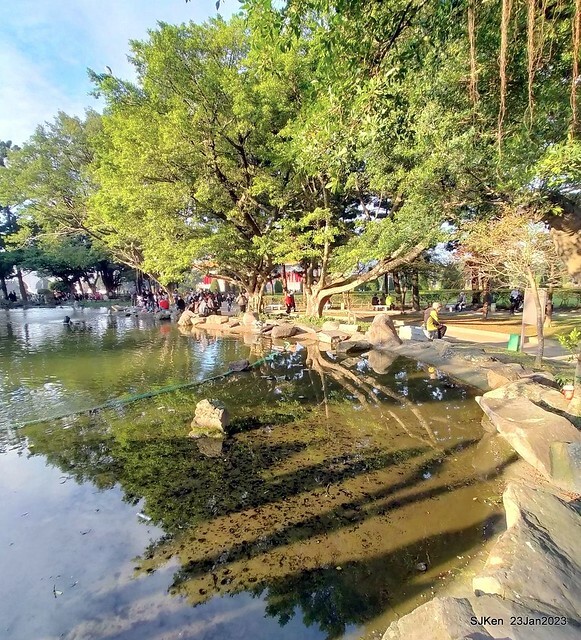 2023正月初一「中正紀念堂」走春賞梅 (Plum blossoms at CKS Memorial Hall), Taipei, Taiwan, SJKen, Jan 23, 2023