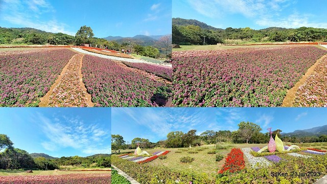 「北投社三層崎花海公園」(Ki-Pataw Shan-Tseng-Chi Park)與北投公園，SJKen , Taipei, Taiwan, Jan 23, 2023.