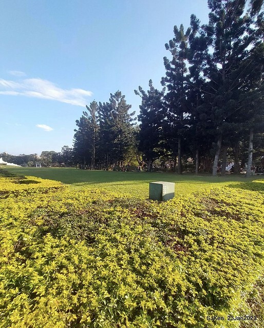 2023正月初一「中正紀念堂」走春賞梅 (Plum blossoms at CKS Memorial Hall), Taipei, Taiwan, SJKen, Jan 23, 2023