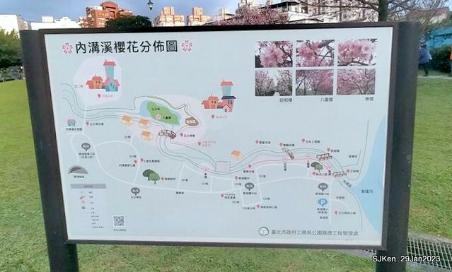 「2023內湖樂活公園賞櫻」(Cherryblossoms at Ne-hu park, Taipei, Taiwan, SJKen, Jan 29, 2023. 「2023內湖樂活公園賞櫻」(Cherryblossoms at Ne-hu park, Taipei, Taiwan, SJKen, Jan 29, 2023.