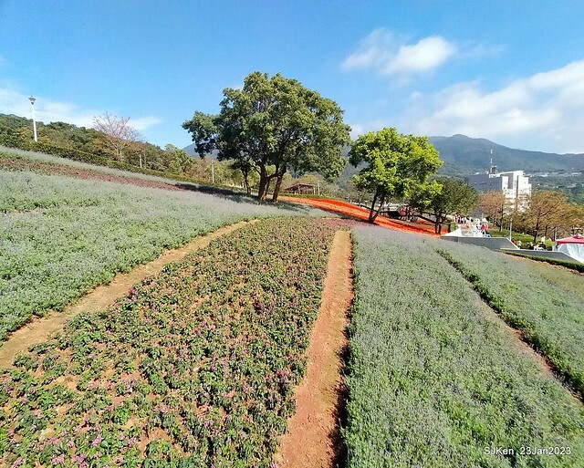 「北投社三層崎花海公園」(Ki-Pataw Shan-Tseng-Chi Park)與北投公園，SJKen , Taipei, Taiwan, Jan 23, 2023.