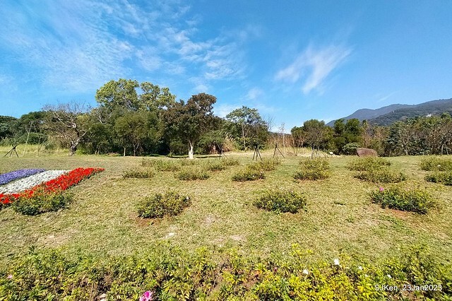 「北投社三層崎花海公園」(Ki-Pataw Shan-Tseng-Chi Park)與北投公園，SJKen , Taipei, Taiwan, Jan 23, 2023.