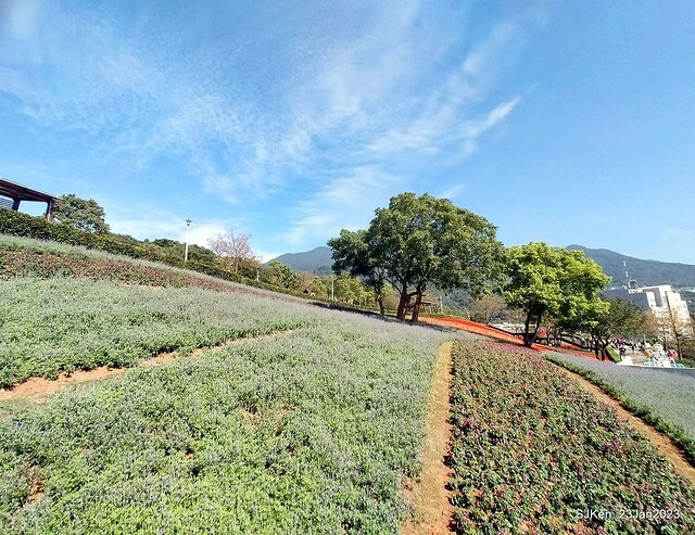 「北投社三層崎花海公園」(Ki-Pataw Shan-Tseng-Chi Park)與北投公園，SJKen , Taipei, Taiwan, Jan 23, 2023.