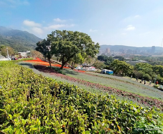 「北投社三層崎花海公園」(Ki-Pataw Shan-Tseng-Chi Park)與北投公園，SJKen , Taipei, Taiwan, Jan 23, 2023.