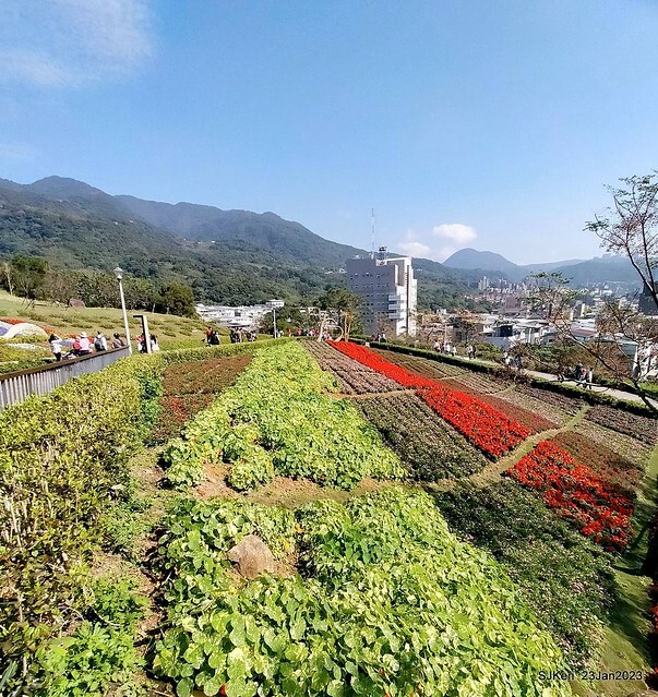 「北投社三層崎花海公園」(Ki-Pataw Shan-Tseng-Chi Park)與北投公園，SJKen , Taipei, Taiwan, Jan 23, 2023.