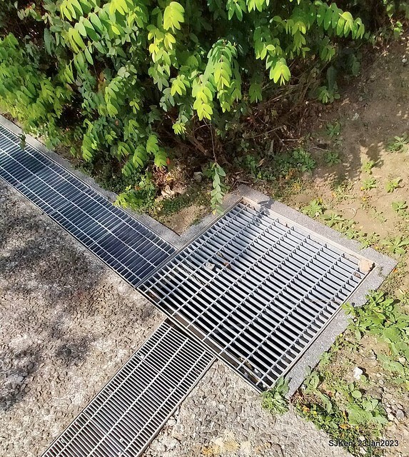 「北投社三層崎花海公園」(Ki-Pataw Shan-Tseng-Chi Park)與北投公園，SJKen , Taipei, Taiwan, Jan 23, 2023.