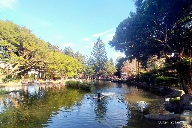 2023正月初一「中正紀念堂」走春賞梅 (Plum blossoms at CKS Memorial Hall), Taipei, Taiwan, SJKen, Jan 23, 2023