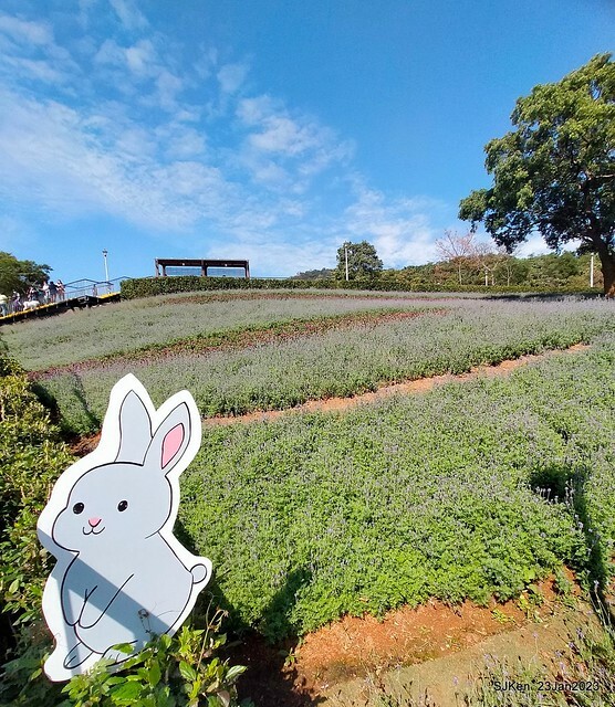 「北投社三層崎花海公園」(Ki-Pataw Shan-Tseng-Chi Park)與北投公園，SJKen , Taipei, Taiwan, Jan 23, 2023.