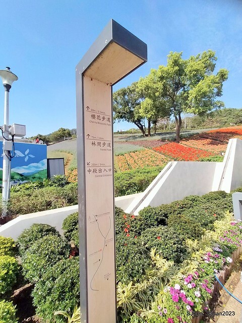 「北投社三層崎花海公園」(Ki-Pataw Shan-Tseng-Chi Park)與北投公園，SJKen , Taipei, Taiwan, Jan 23, 2023.