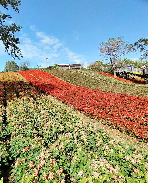 「北投社三層崎花海公園」(Ki-Pataw Shan-Tseng-Chi Park)與北投公園，SJKen , Taipei, Taiwan, Jan 23, 2023.