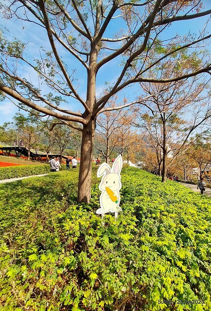 「北投社三層崎花海公園」(Ki-Pataw Shan-Tseng-Chi Park)與北投公園，SJKen , Taipei, Taiwan, Jan 23, 2023.