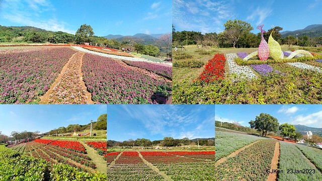 「北投社三層崎花海公園」(Ki-Pataw Shan-Tseng-Chi Park)與北投公園，SJKen , Taipei, Taiwan, Jan 23, 2023.