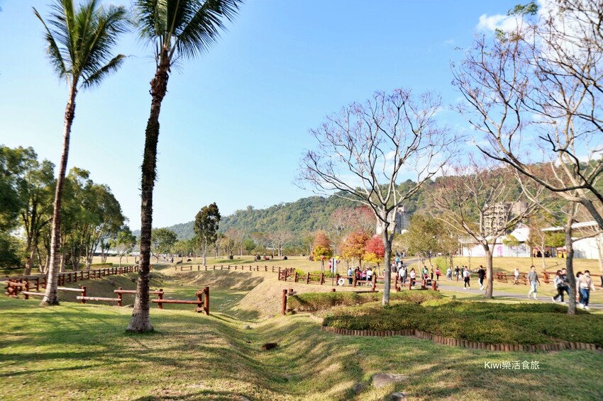 嘉義景點|旺萊山愛情大草原,親子免費景點,免費吃旺萊山鳳梨酥,嘉義阿里山下周邊景點美食