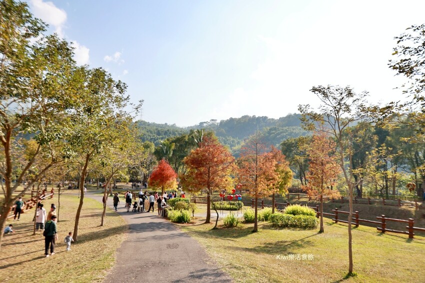 嘉義景點|旺萊山愛情大草原,親子免費景點,免費吃旺萊山鳳梨酥,嘉義阿里山下周邊景點美食