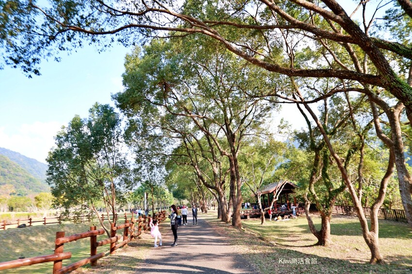 嘉義景點|旺萊山愛情大草原,親子免費景點,免費吃旺萊山鳳梨酥,嘉義阿里山下周邊景點美食