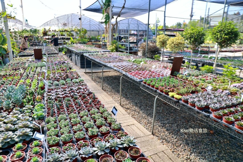 田尾景點綠果庭院|田尾公路花園免費景點多肉植物天堂.網美拍照打卡熱點,田尾一日遊