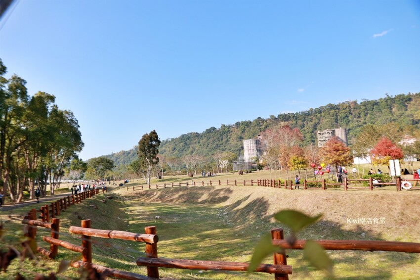 嘉義景點|旺萊山愛情大草原,親子免費景點,免費吃旺萊山鳳梨酥,嘉義阿里山下周邊景點美食