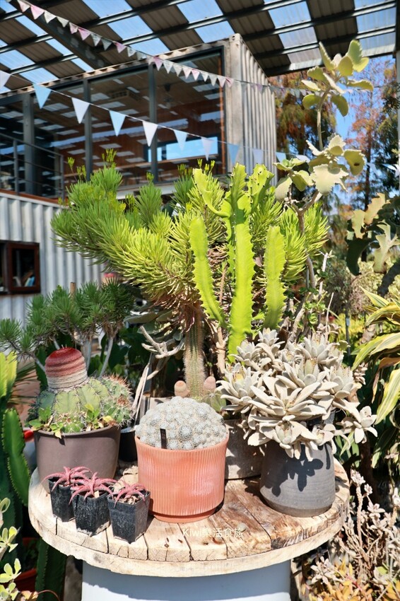 田尾景點綠果庭院|田尾公路花園免費景點多肉植物天堂.網美拍照打卡熱點,田尾一日遊