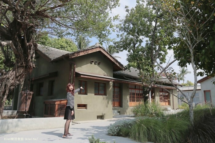 嘉義景點|旺萊山愛情大草原,親子免費景點,免費吃旺萊山鳳梨酥,嘉義阿里山下周邊景點美食