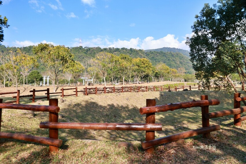 嘉義景點|旺萊山愛情大草原,親子免費景點,免費吃旺萊山鳳梨酥,嘉義阿里山下周邊景點美食