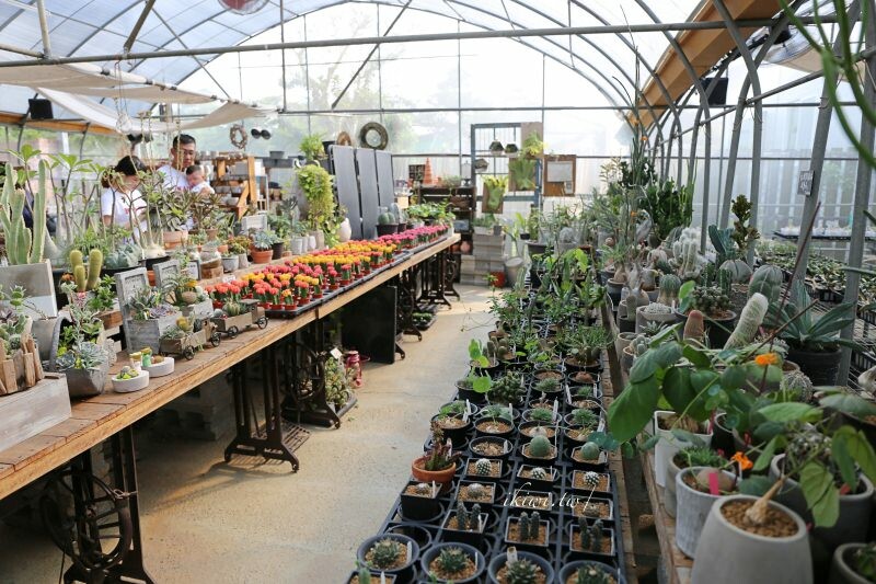 田尾景點綠果庭院|田尾公路花園免費景點多肉植物天堂.網美拍照打卡熱點,田尾一日遊