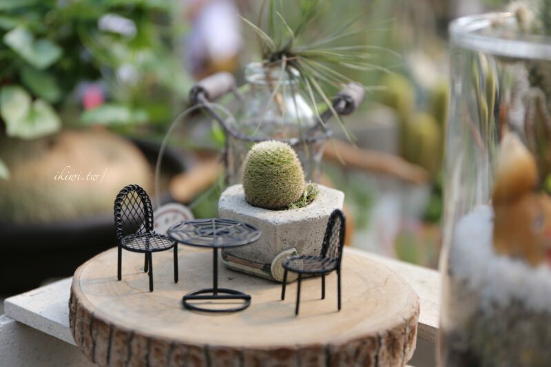 田尾景點綠果庭院|田尾公路花園免費景點多肉植物天堂.網美拍照打卡熱點,田尾一日遊