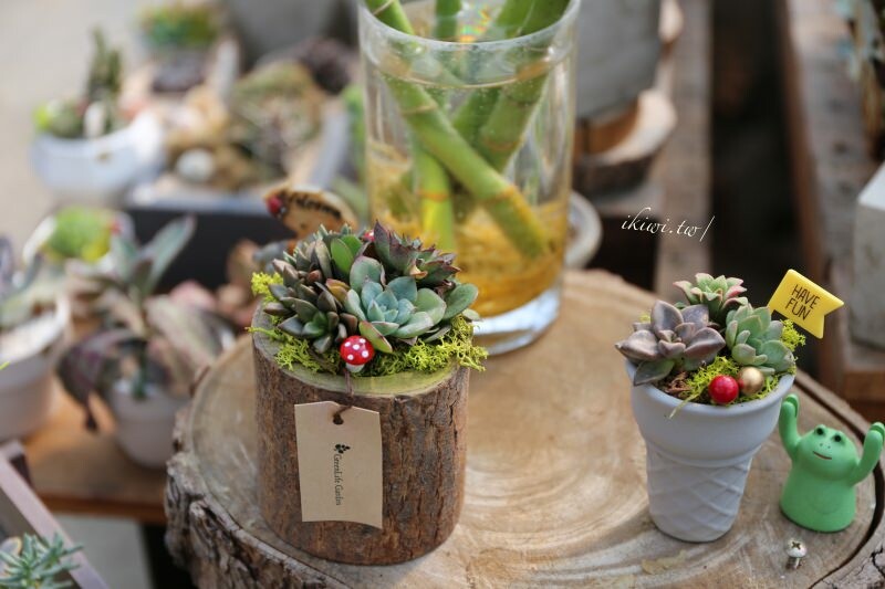 田尾景點綠果庭院|田尾公路花園免費景點多肉植物天堂.網美拍照打卡熱點,田尾一日遊