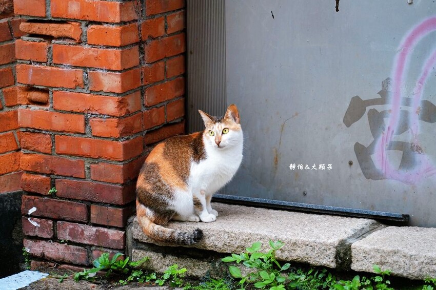 IMG_4849.JPG IMG_4849.JPG