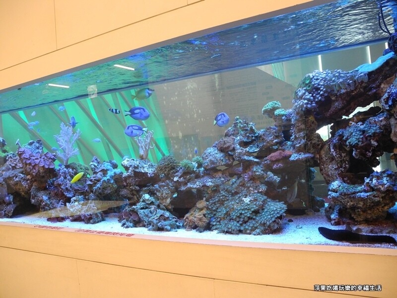 台電南部展示館51.jpg 台電南部展示館51.jpg