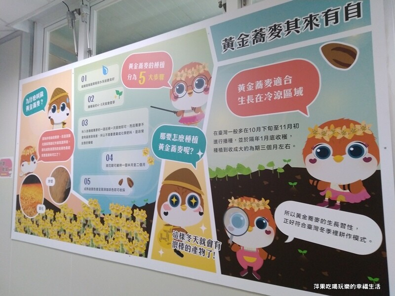 黃金蕎麥探索館7.jpg 黃金蕎麥探索館7.jpg