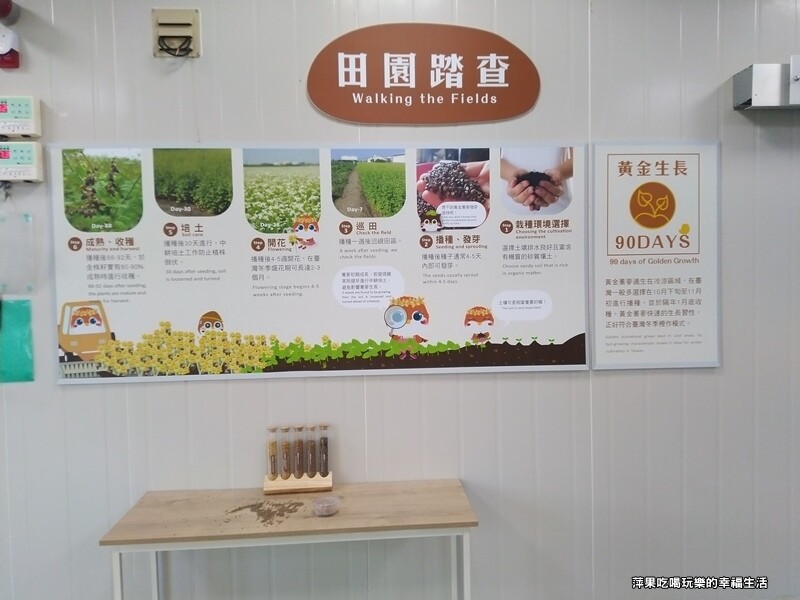 黃金蕎麥探索館4.jpg 黃金蕎麥探索館4.jpg