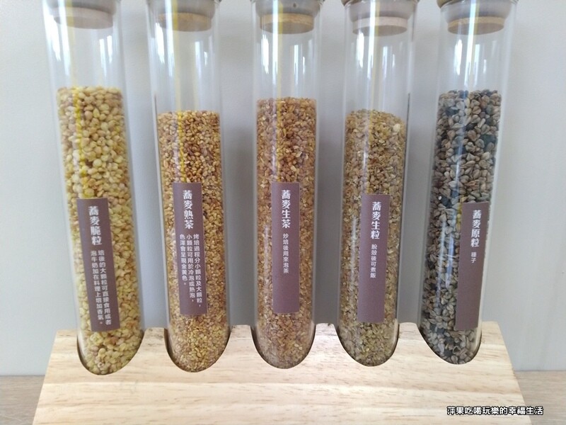 黃金蕎麥探索館5.jpg 黃金蕎麥探索館5.jpg