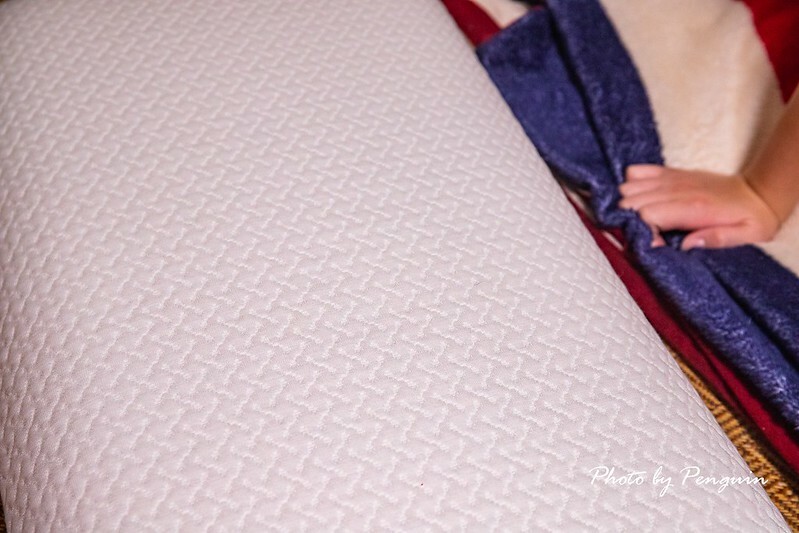 居家好物推薦．自然醒WELLSLEEP太空重力枕．100%台灣製造．涼感降溫材質．享受不悶熱的親膚舒適躺感