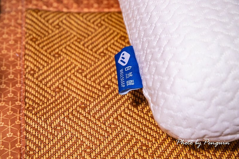 居家好物推薦．自然醒WELLSLEEP太空重力枕．100%台灣製造．涼感降溫材質．享受不悶熱的親膚舒適躺感