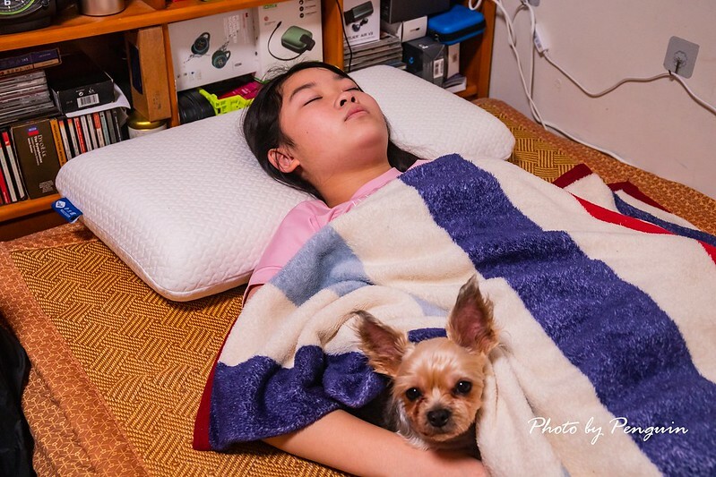 居家好物推薦．自然醒WELLSLEEP太空重力枕．100%台灣製造．涼感降溫材質．享受不悶熱的親膚舒適躺感