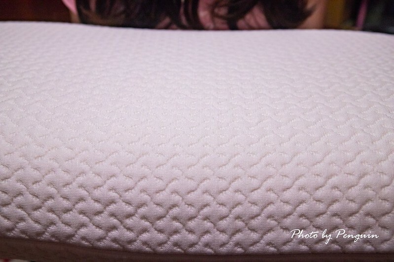 居家好物推薦．自然醒WELLSLEEP太空重力枕．100%台灣製造．涼感降溫材質．享受不悶熱的親膚舒適躺感