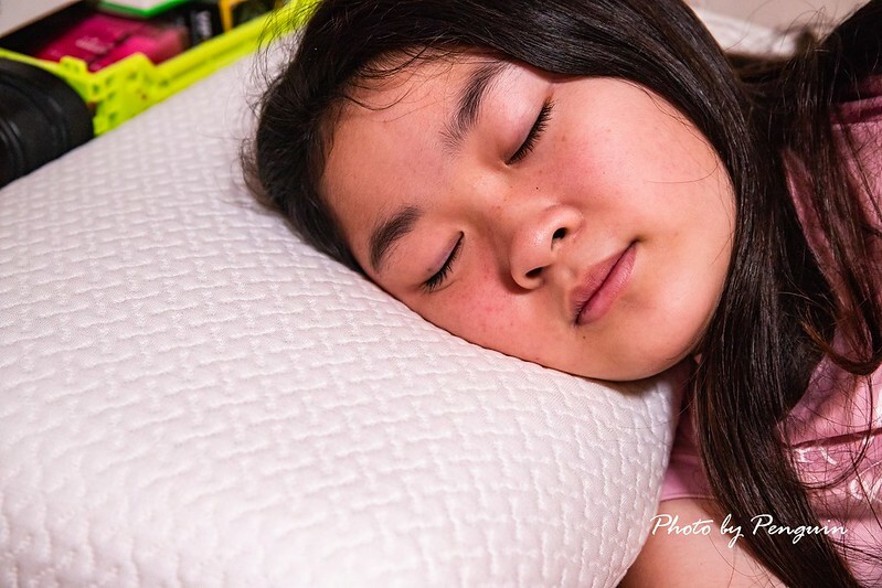 居家好物推薦．自然醒WELLSLEEP太空重力枕．100%台灣製造．涼感降溫材質．享受不悶熱的親膚舒適躺感