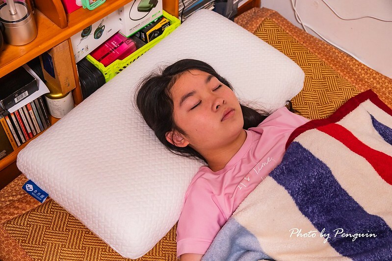 居家好物推薦．自然醒WELLSLEEP太空重力枕．100%台灣製造．涼感降溫材質．享受不悶熱的親膚舒適躺感