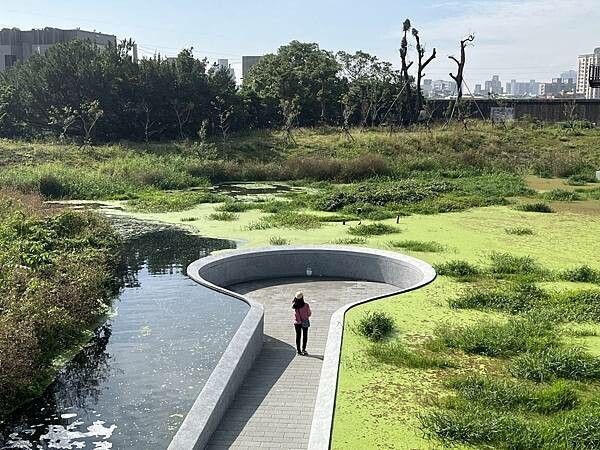 大IMG_8131 (1).jpeg