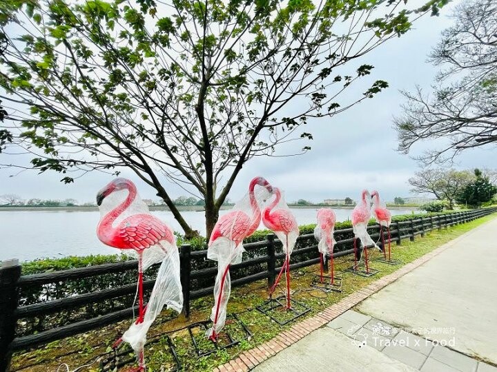 【漫遊富岡，光之饗宴】2023桃園燈會在楊梅，必看14公尺未來兔主燈與水上光舞秀，作伙搭火車逛燈會！ @魚兒 x 牽手明太子的「視」界旅行