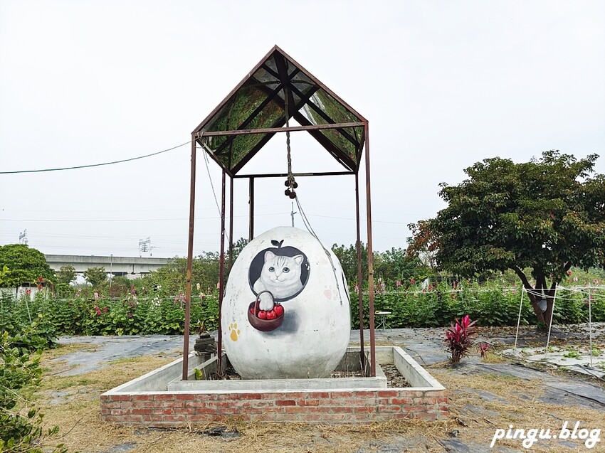 2023田中蜀葵花季開跑!!繽紛的蜀葵花海 宅一起網美景點 美味的桶子雞套餐 手拉坏DIY一次滿足