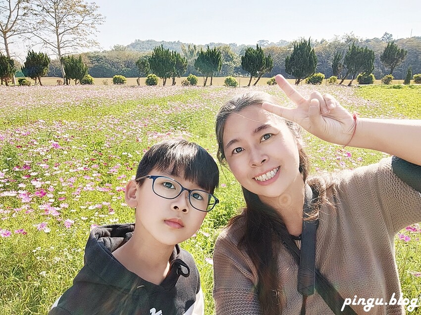 2023新春走馬瀨瀨祭|1/22~26農曆年節走春好去處 緩緩市集 X 蘋果劇團 X 日式和菓子DIY X 川劇變臉 讓我們瀨在一起 - 小企鵝生活趣