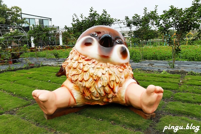 2023田中蜀葵花季開跑!!繽紛的蜀葵花海 宅一起網美景點 美味的桶子雞套餐 手拉坏DIY一次滿足